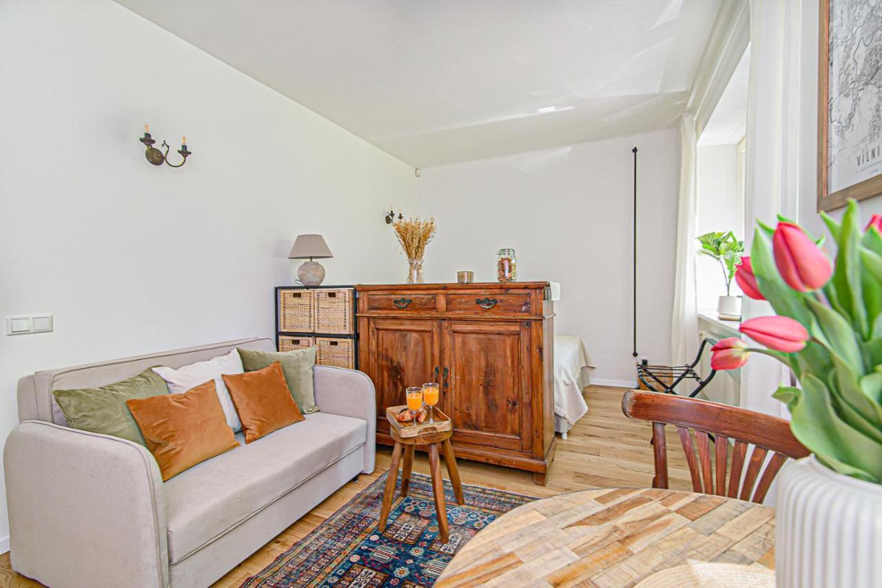 Cozy Studio In The Heart Of Vilnius Old Town Exteriér fotografie